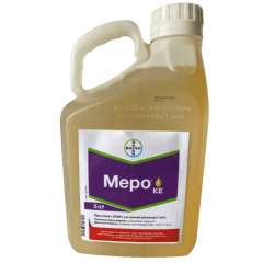 Прилипатель Меро