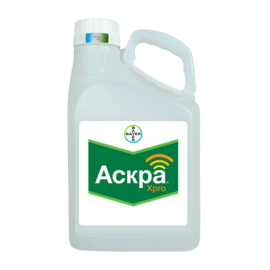 Фунгіцид Аскра Xpro 