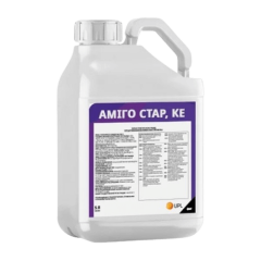 Прилипатель Амиго Стар, к.е.