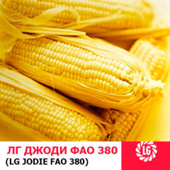 Семена кукурузы ЛГ Джоди (Jodie)