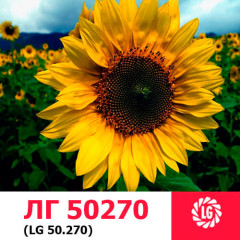 Семена подсолнечника ЛГ 50270