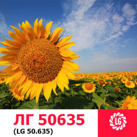 Семена подсолнечника ЛГ 50635