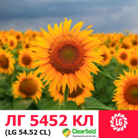 Семена подсолнечника ЛГ 5452