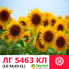 Семена подсолнечника ЛГ 5463