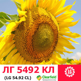 Семена подсолнечника ЛГ 5492 HO