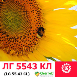 Семена подсолнечника ЛГ 5543