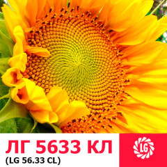 Семена подсолнечника ЛГ 5633