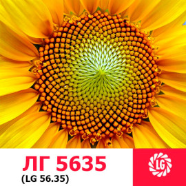 Семена подсолнечника ЛГ 5635