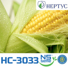 Семена Кукурузы НС-3033