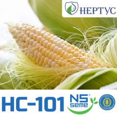 Семена Кукурузы НС-101