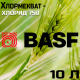 Регулятор росту Хлормекват-хлорид 750