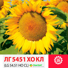 Семена подсолнечника ЛГ 5451