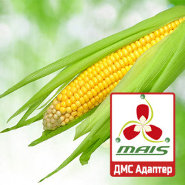 Семена кукурузы ДМС Адаптер МАИС