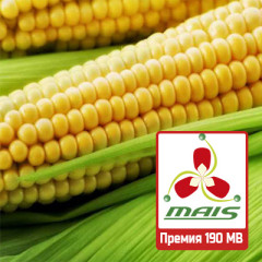 Семена кукурузы Премия 190 МВ МАИС