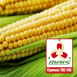 Семена кукурузы Премия 190 МВ МАИС