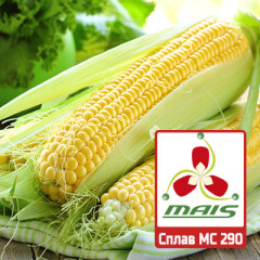 Семена кукурузы Сплав МС 290 МАИС
