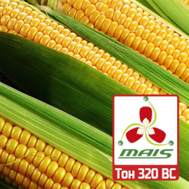 Семена кукурузы Тон 320 ВС МАИС