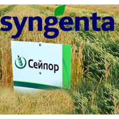 Озима пшениця СЕЙЛОР 1 репродукція