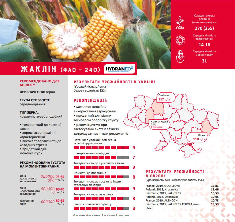 купити Насіння Кукурудзи Жаклін