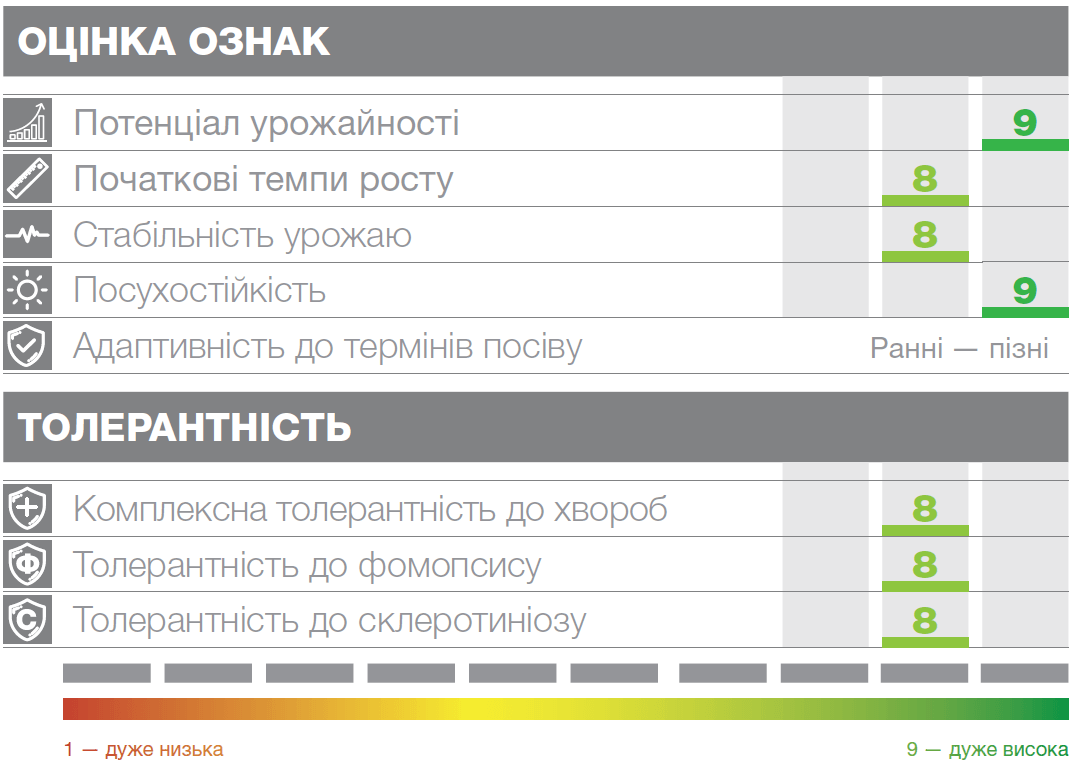 Купить Семена подсолнечника СИ КАДИКС (SI KADIKS)