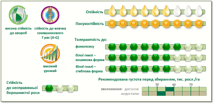 Семена подсолнечника Пионер PR64F66 купить в Украине