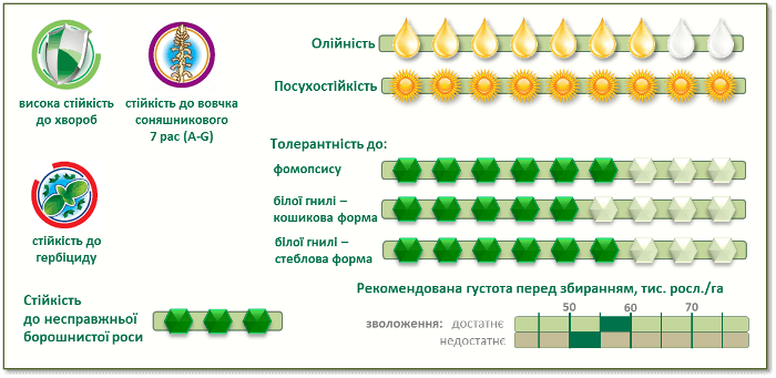 Купить Семена подсолнечника П64ЛЦ108 (P64LC108)
