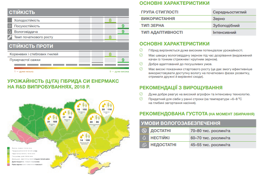 Купить Насіння кукурудзи СІ Енермакс 