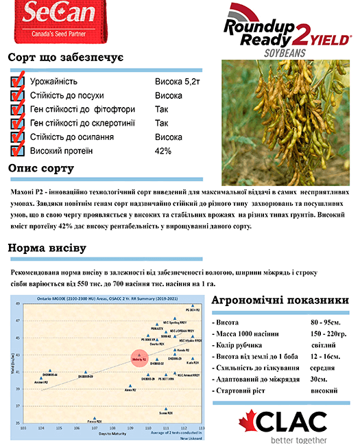 Купити Насіння Сої Махоні Р2 ✔️✔️✔️ Proseeds