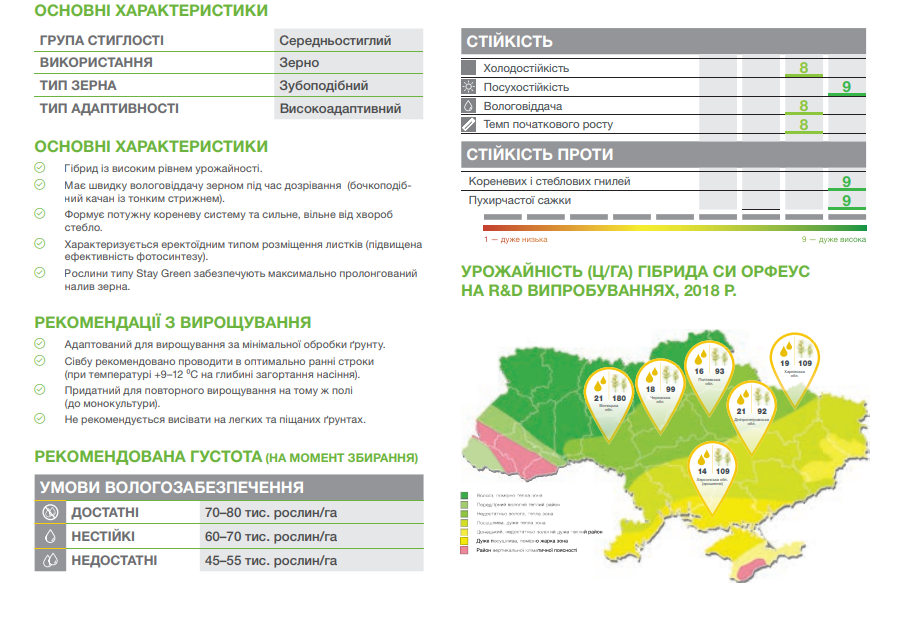 Купити Насіння кукурудзи СІ Орфеус