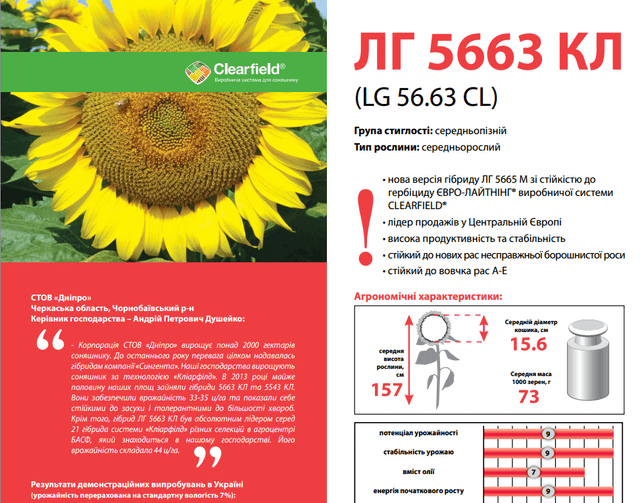 купить Семена подсолнечника ЛГ 5663